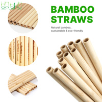 Logo personnalisé pailles à boire en bambou biodégradables pailles jetables écologiques
