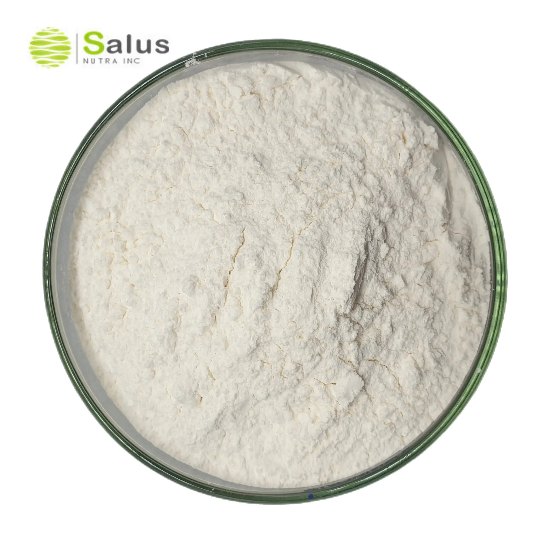 High Quality Glucoamylase Enzyme