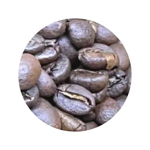 Roasted Arabica Catimor Material Durable Vietnam Robusta Customized Packaging Green Coffee Beans Made In Vietnamese Manufacturer