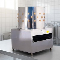 Machine à plumer la volaille entièrement automatique en acier inoxydable, mini, pour cailles, oiseaux et poulets, équipement d'abattage de plumes, usage agricole essentiel