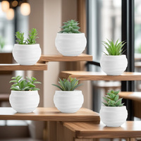 Plantes artificielles en pot, 6 pièces, petites succulentes artificielles personnalisables, avec pots, pour la décoration de la maison, du bureau, de la table