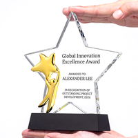 Trophée étoile en cristal coloré, design métallique créatif, base noire, récompense annuelle pour les employés - Meilleures ventes