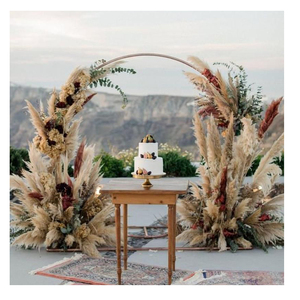Arco de Boda de Pampas, Cañas Silvestres de Pampas Secas, Hierba de Pampas de Color Natural Larga - Product Image 1