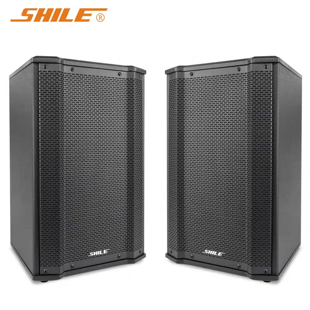 SHILE BX-109 Professional Full-Range Conference KTV Entertainment Speaker 80W Fixed Impedance 8inch Passive Wall-Mounted Speaker