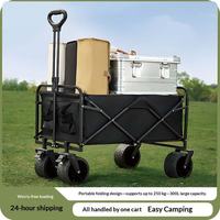 Chariot de camping en fer Aoluosu, petit chariot de camping portable, chariot de pique-nique, poignée rétractable, noir/vert, capacité de charge de 150 kg