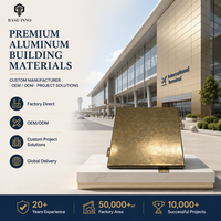 Panneaux de Façade Assemblés en Aluminium pour Revêtement de Bâtiment, Mur Rideau Extérieur Métallique Perforé et Étanche, Personnalisé OEM Inno 2026