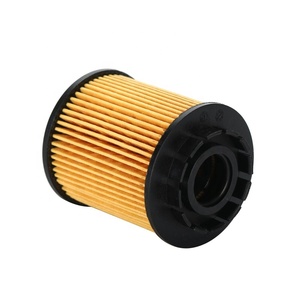 Pièces automobiles Filtre à huile moteur 92365780 1612565980 pour PEUGEOT 5008 1.6 - Product Image 3