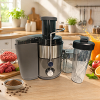 Mini extracteur de jus centrifuge, mixeur, broyeur, hachoir de cuisine, boîtier en acier inoxydable, 800 ml, 800 W, pour l'extérieur