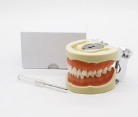 Modèle pathologique dentaire médical modèle anatomique oral dents cariées modèle Dent artificielle
