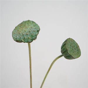 Cây Giống Hoa Sen Pu Nhân Tạo Để Trang Trí Hoa Sen Giả Lá Sen Hoa Sen Nhân Tạo - Product Image 1