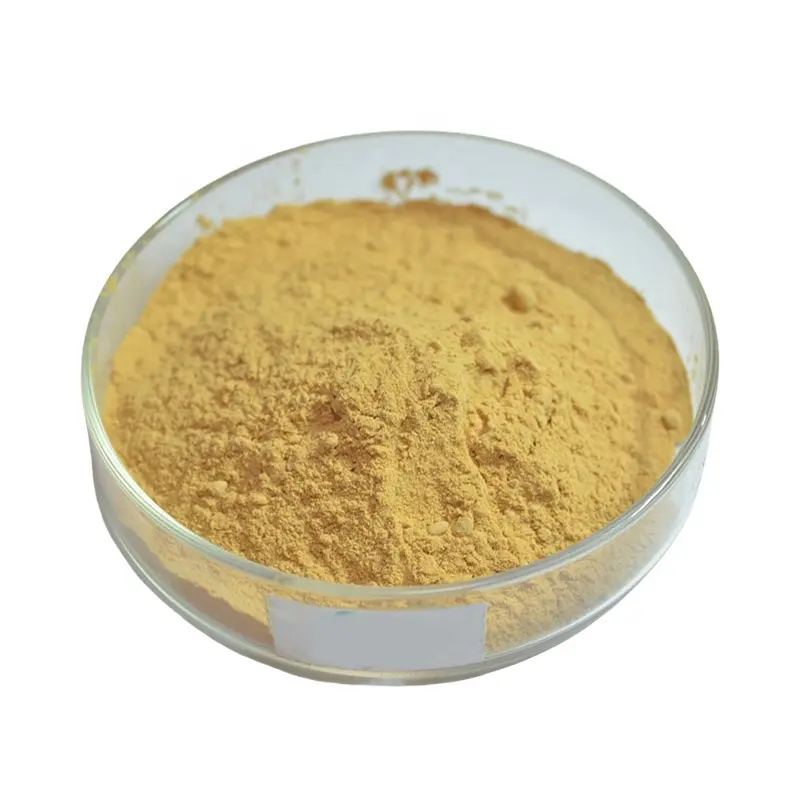 Extrato de ginseng vermelho coreano de alta qualidade 80% ginsenosides Extrato de Panax vermelho coreano Extrato de ginseng