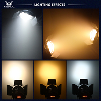 Projecteur LED COB 200W blanc chaud/froid pour scène, banquet, conférence, avec zoom électrique manuel DMX et écran de protection