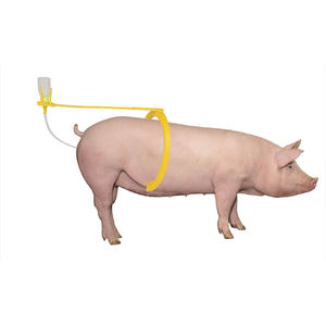 TyGoal HYSHZJ-01 plastik babi tabur AI peralatan Kit Termasuk inseminasi buatan botol <span class=keywords><strong>Semen</strong></span> klip kateter dalam - Product Image 1