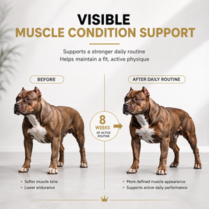 Suplemento para el Cuidado de la Salud de Mascotas de Marca Privada OEM/ODM, Golosinas Blandas para Perros, Aumento de Masa Muscular, Proteína Natural, Ganador de Peso - Product Image 4