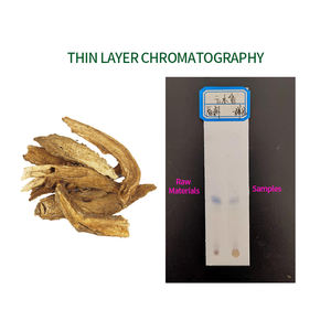 カスタマイズ可能なバルクアポタキシス・ウリカタハーブエキス粉末10:1健康食品グレードサプライヤー卸売食品添加物 - Product Image 3