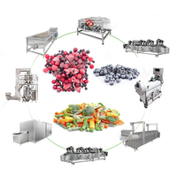 Automatische verwerkingslijn voor diepvriesfruit, -groenten en -vis van 600 kg/uur, hoog-efficiënt industrieel reinigings- en droogsysteem