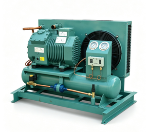 Unità di Refrigerazione Esterna a Pistone per Basse Temperature, Raffreddata ad Aria, Unità Compressore per Refrigerazione Aperta e Celle Frigorifere - Product Image 6
