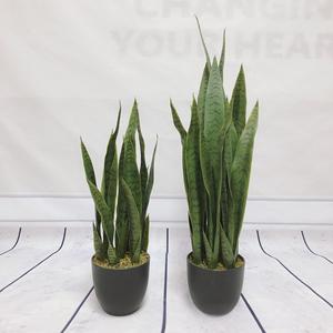 Bonsái de <span class=keywords><strong>Agave</strong></span> de Aloe Vera Tropical Artificial más vendido, hoja de hierba de simulación realista de plástico verde <span class=keywords><strong>pequeño</strong></span> para decoración del hogar - Product Image 4