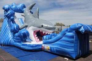 Hot Bán Trẻ Em Của Sân Chơi Cao Ngoài Trời Đôi Trượt Inflatable Cá Mập Trượt Cho Thuê Trong Người Lớn Và Trẻ Em Của Công Viên - Product Image 6