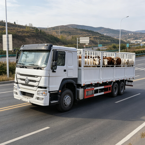 Camión de Plataforma Howo 6*4 Usado, 38T, para Transporte de <span class=keywords><strong>Ganado</strong></span> y Ovejas en Angola y Mozambique, para Transporte de Carga Agrícola y Ganadera - Product Image 1