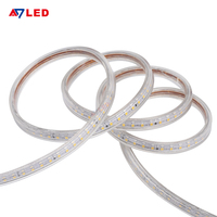 Bandes lumineuses intelligentes SMD 220VAC ultra longues 50m, 120 LED/m, IP65, haute tension, 2835 LED, intérieur/extérieur, commande vocale par application, dimmable