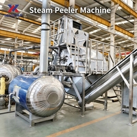 Industriële pure fysieke stoomschilmachine 5T/H, automatische hogedruk aardappel-, perzik-, wortel- en tomatenschilmachine