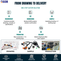 Harnais de câblage d'extension pour affichage de machines OEM, gaine tressée en nylon, étanche IP67, connecteur en cuivre pur pour excavatrice et chargeuse