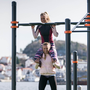 Vertical <strong>Bar</strong> for Calisthenics / Street Workout <strong>Exercises</strong> Human Flag Manufactured According to En 16630 in Terms of Safety - Product Image 6