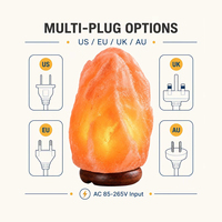 Lampe en sel rose de l'Himalaya de 2-3 kg, lampe en sel cristallin naturel sculptée à la main, base en bois, purificateur d'air, veilleuse