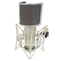 U-WS Champagne U Forme 2 Couche Maille Haute Qualité Microphone Insonorisé Filtre Pop Pare-Brise pour Studio Room ou Live Broadcast