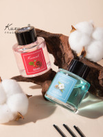 Coffret Diffuseur à Bâtonnets 50 ml Parfum d'Ambiance de Luxe avec Boîtes d'Emballage Désodorisant Domestique pour Salle de Bain Chambre Toilettes