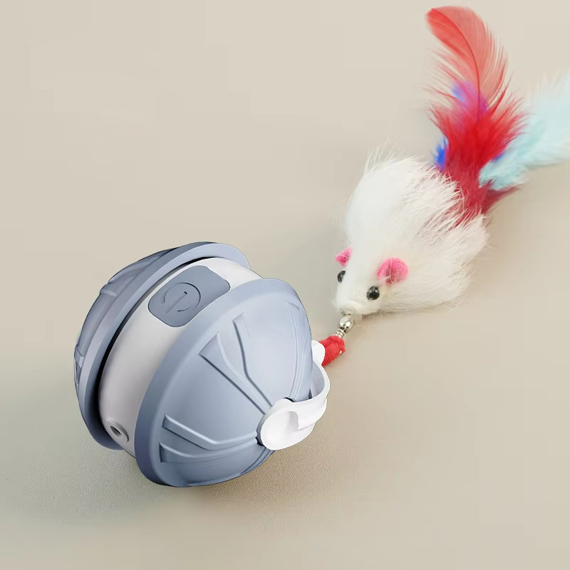 Gris + souris
