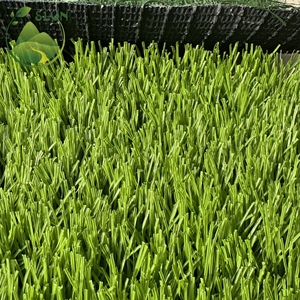 Césped Artificial de Plástico para Cancha de Fútbol, Campo de Golf, Rugby y Fútbol - Product Image 6