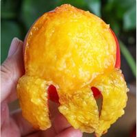 Pêches nectarines fraîches de meilleure qualité, sucrées et juteuses avec une chair délicieuse, pêche nectarine à chair jaune délicieuse