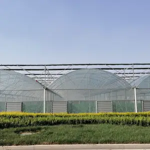 Di grandi dimensioni multi span serra agricoltura usato fattoria di fiori per la vendita