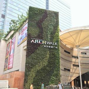 Système d'irrigation automatique pour mur végétal vertical hydroponique, pot auto-arrosant SL-XQ3319 - Product Image 5