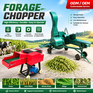 Broyeur de fourrage horizontal Dalunte Asia Smallholder 12HP à moteur diesel, entraînement par engrenages, pour la préparation du <span class=keywords><strong>sol</strong></span> et la déchiquetage de la soie - Product Image 3