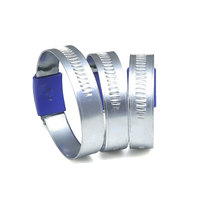 Colliers de serrage à vis sans fin réglables Colliers de serrage britanniques en acier galvanisé avec boîtier bleu Acier inoxydable Acier au carbone argenté