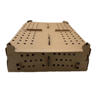 Boîtes en carton ondulé à double paroi pour le transport de poussins vivants d'un jour de âge