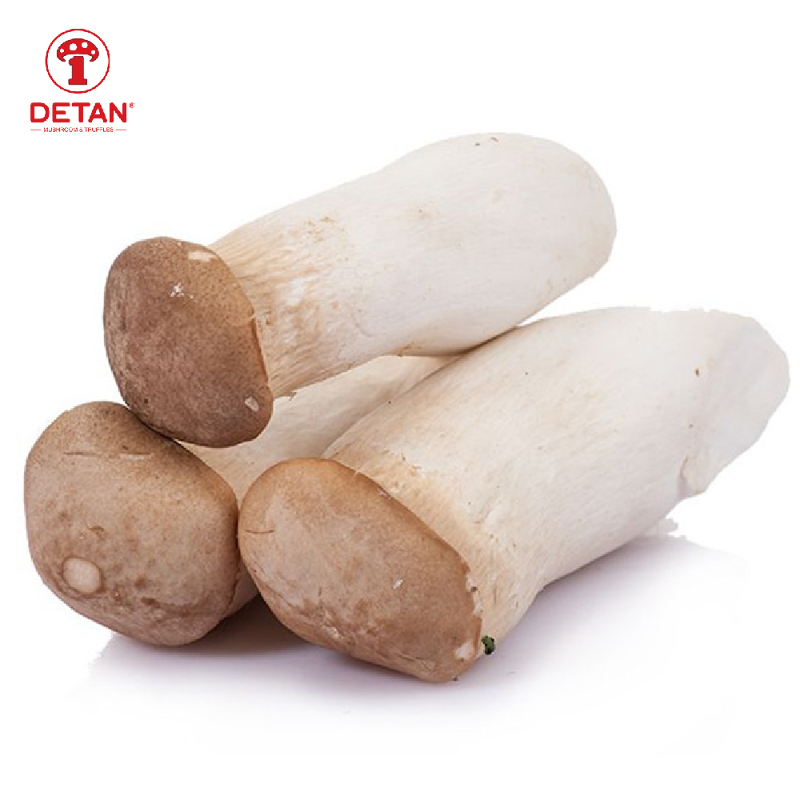 Устричный гриб Detan king (eryngii) с профессиональной посадкой в бутылках