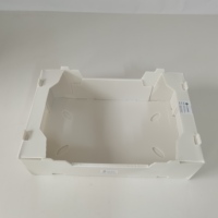 Caisse de transport pliable en PP alvéolaire pour brocoli, empilable et respirante, pour fruits et légumes, directement de l'usine, OEM ODM disponible