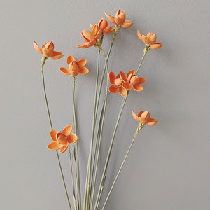 Flores de Orquídea Secas al por Mayor, Ramos de Flores Secas de Varios Colores, Accesorios de Fotografía, Decoración del Hogar <span class=keywords><strong>con</strong></span> Orquídeas - Product Image 5