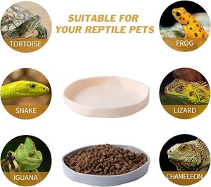 Paquete de 4 platos <span class=keywords><strong>pequeños</strong></span> para comida de reptiles, plato de agua de gusano de plástico para lagarto, Gecko, dragón barbudo, camaleón, blanco y gris - Product Image 4