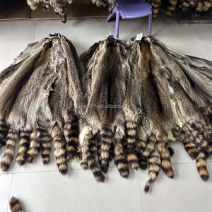 Piel de Mapache Americano Natural al por Mayor - Product Image 3