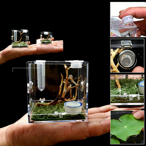 Terrario per Ragni Saltatori - Piccolo Contenitore Non-Captive per l'Esposizione - Trasportino per Insetti Ragni Saltatori della Florida con Umidificatore e Porta per l'Alimentazione - Product Image 1