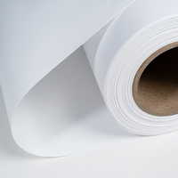 Toile polyester brillante économique 260GSM compatible avec Epson, Canon, HP pour impression jet d'encre, toile d'art décorative