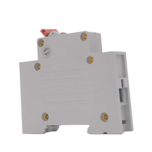 BKN RKN 2Polosバイポーラ25A 32Aサーキットブレーカ中断器テルマグネティコス - Product Image 5