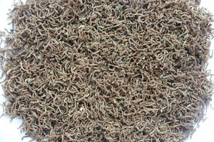 Direct van de fabrikant: Nieuwe, hoogwaardige gevriesdroogde bloedwormen in pelletvorm, 1-2 cm, rood, 100% natuurlijk eiwit, visvoer voor een glanzende vacht. - Product Image 5