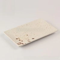 Ensemble d'assiettes rectangulaires en porcelaine écologique pour restaurant, hôtel, pour servir des sushis et des plats de poisson