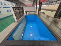 Piscine en conteneur de 20 pieds, structure en acier personnalisée avec fenêtre et revêtement en PVC